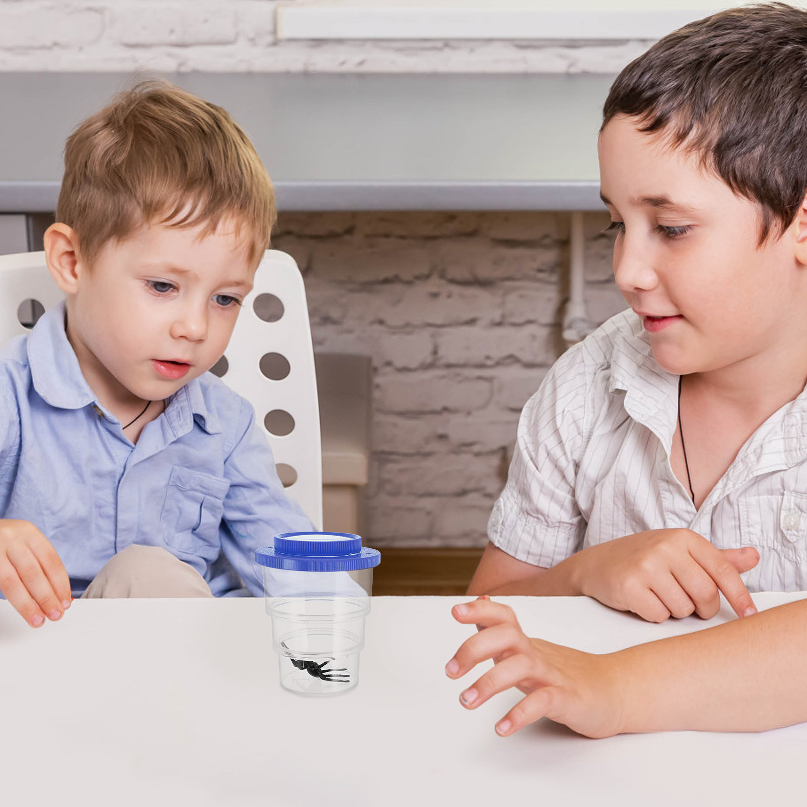 Science Toys - Caixa de observação de insetos com