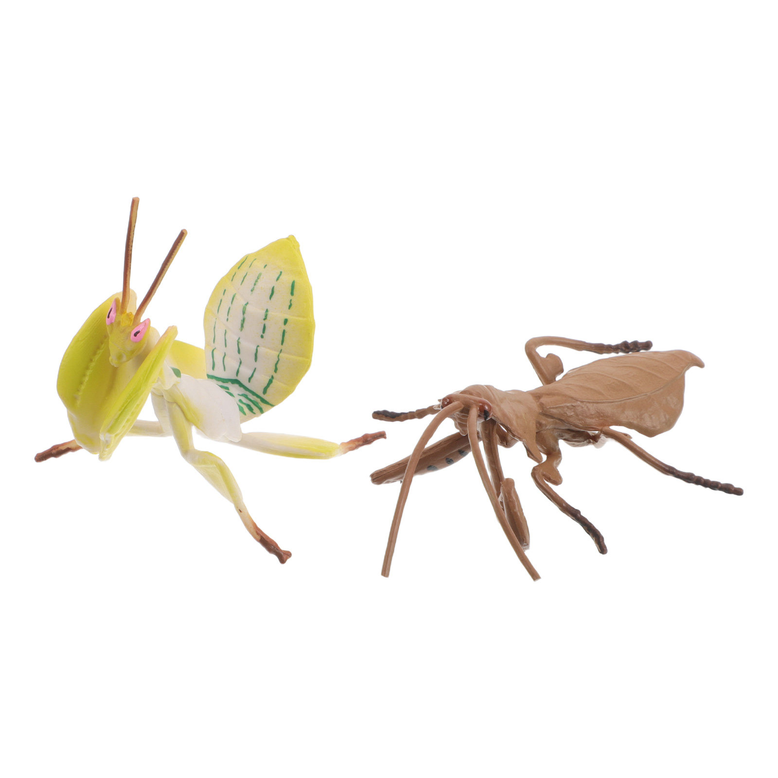 2 unidades de insetos de imita - Science Toys avaliação e preço