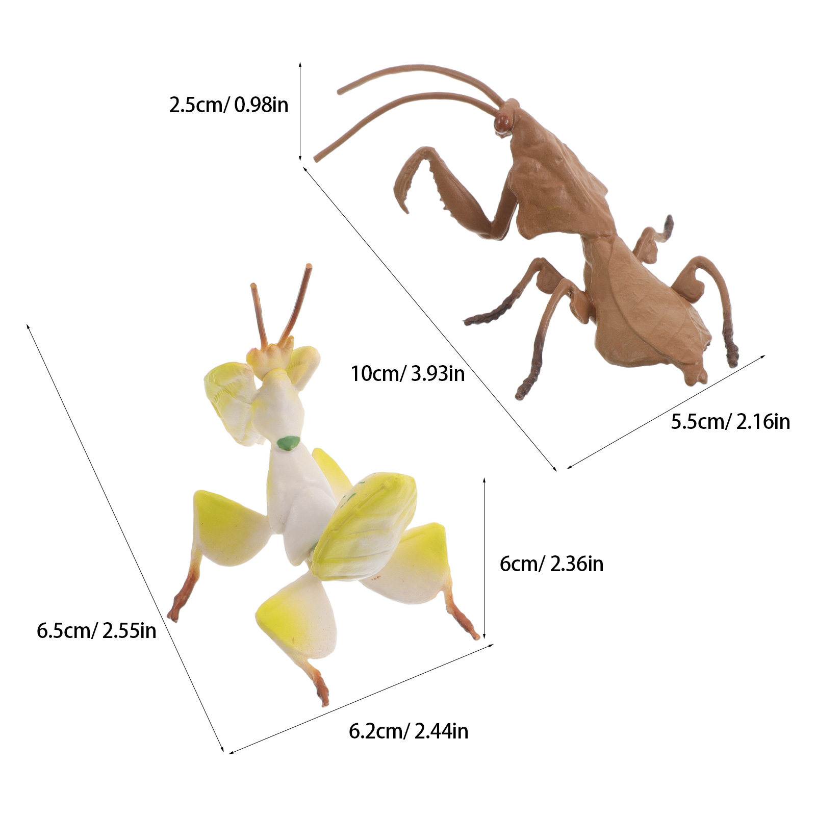 2 unidades de insetos de imita - Science Toys avaliação e preço