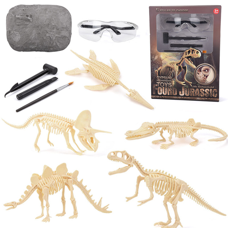Kit de Escavação de Fósseis de - Science Toys avaliação e preço